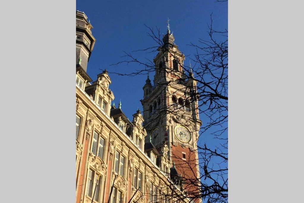 Appartement Grande Chaussee Lille Ngoại thất bức ảnh